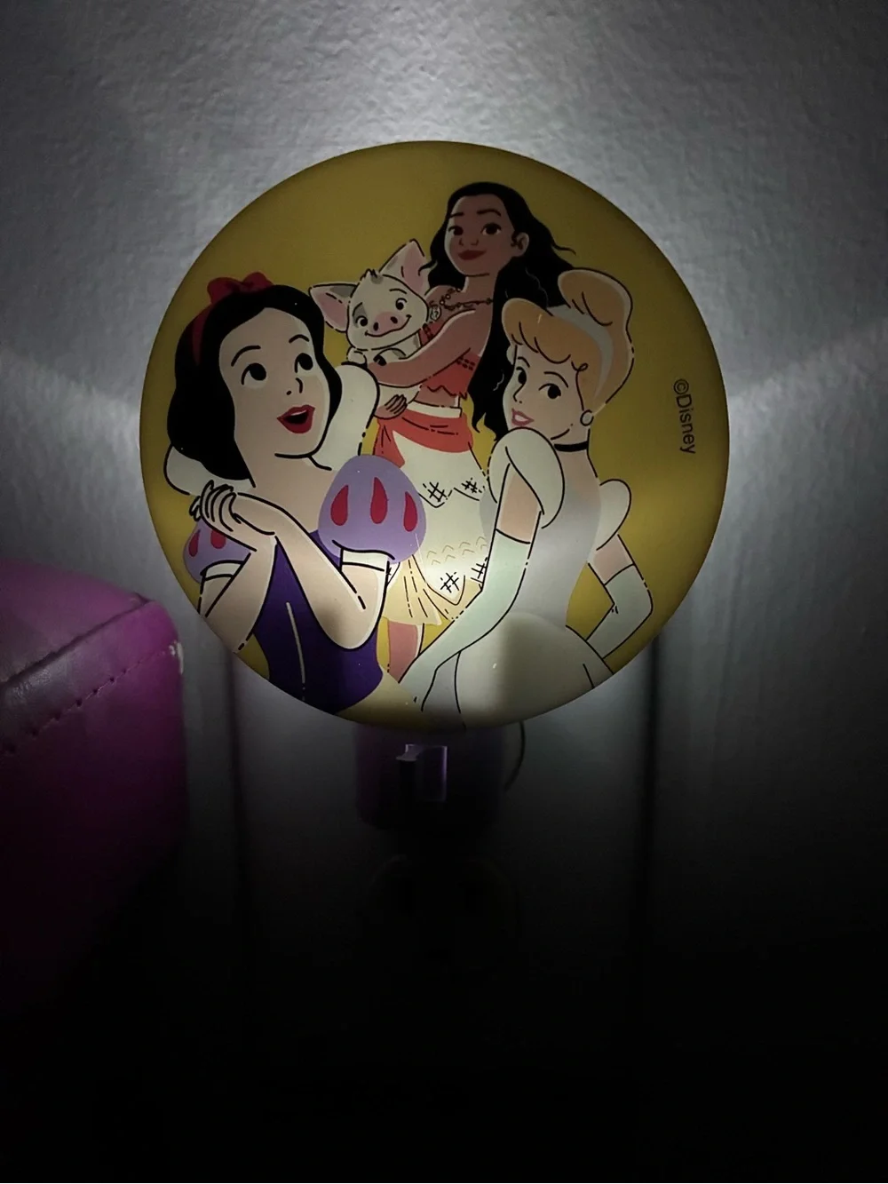 Disney Princess Nightlight 2 Prong Wall Plug In w/ Switch Low Light Rotary Shade